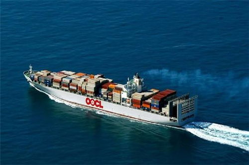 廣州國(guó)內(nèi)貨物運(yùn)輸代理 高效連接，通達(dá)全國(guó)